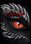 dragoneye988